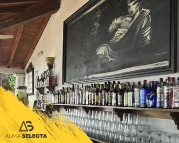 SELECCIÓN DE BOTELLAS