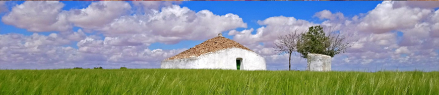 Bombo de Tomelloso con un paisaje verde y árboles